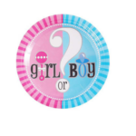 Set 10 farfurii carton, unica folosinta, Ø 23cm, „Girl or Boy” – Baby Shower / Gender Reveal